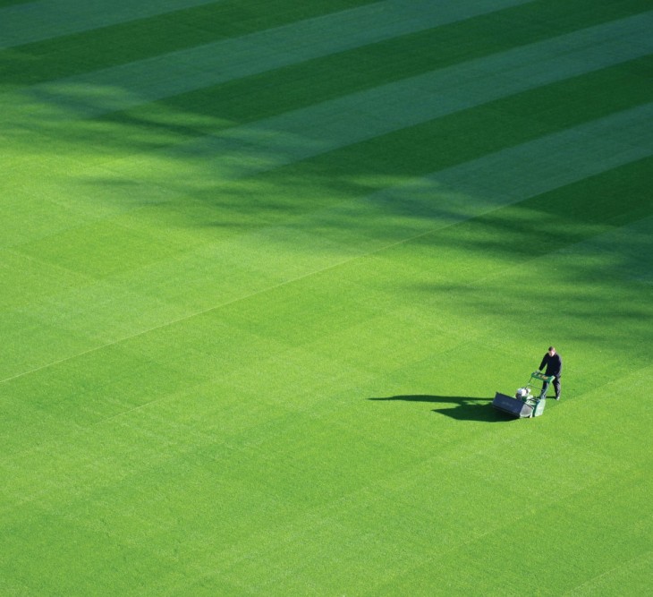 Leveling the Playing Field